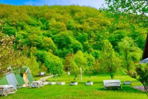 Una Kamp