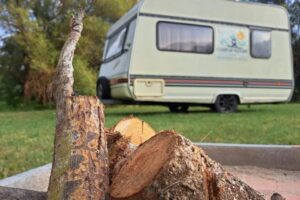 Camp of Nature