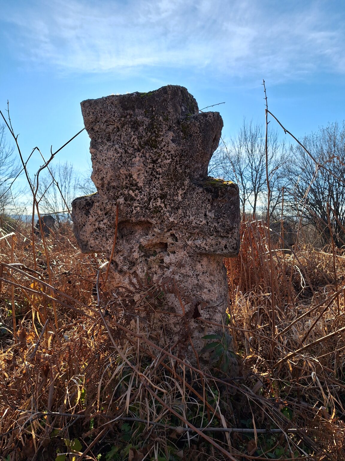 Srednjovjekovni stećak obrastao u prirodi na sunčan dan, simbol kulturne baštine Bosne i Hercegovine.
