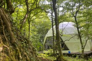 glamping_zen3