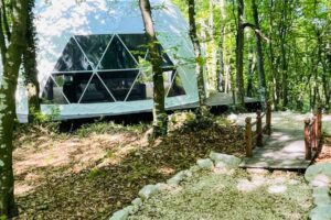 glamping_zen5
